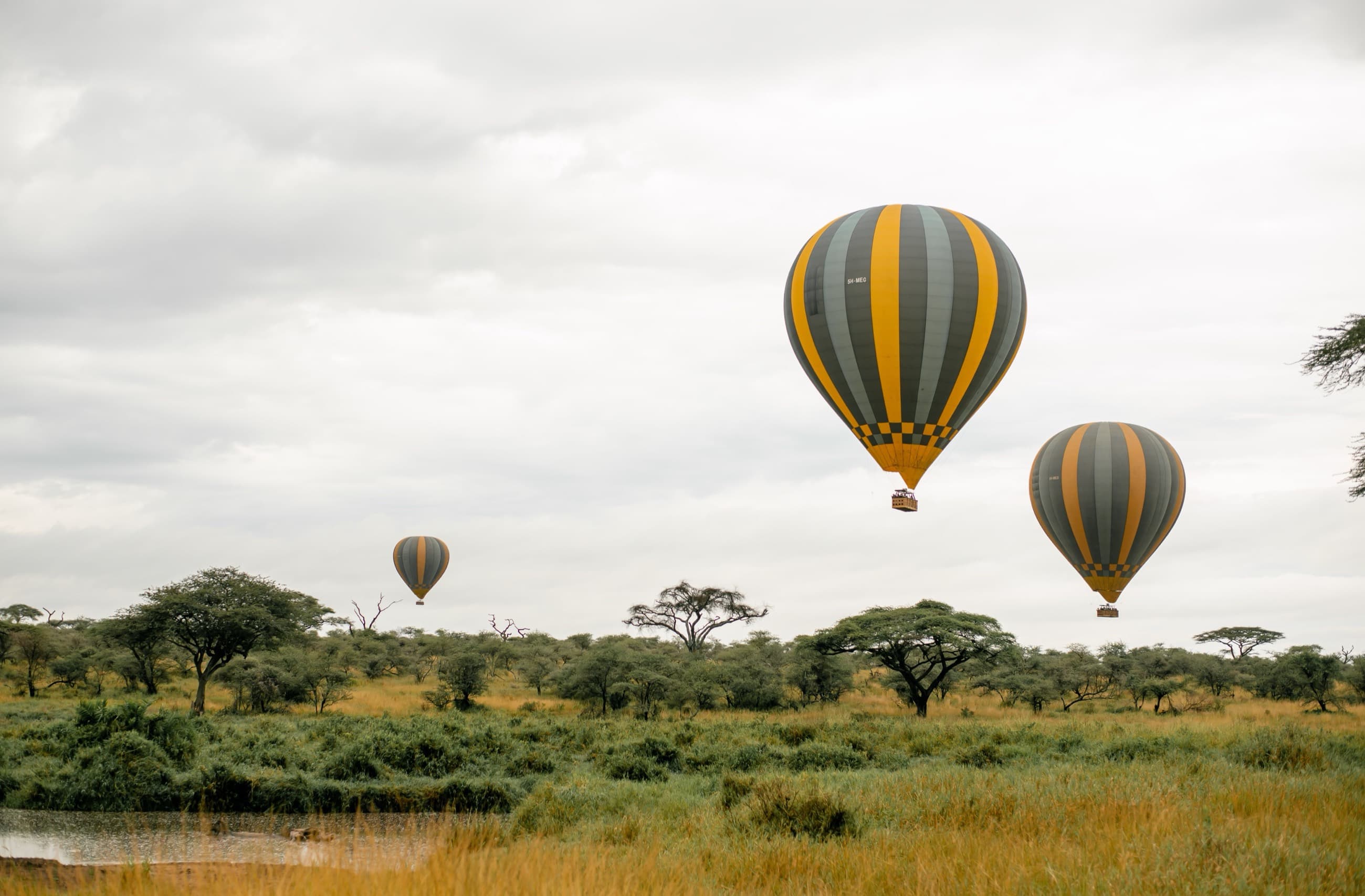 Three hot air balloons rising over the savannah at dawn