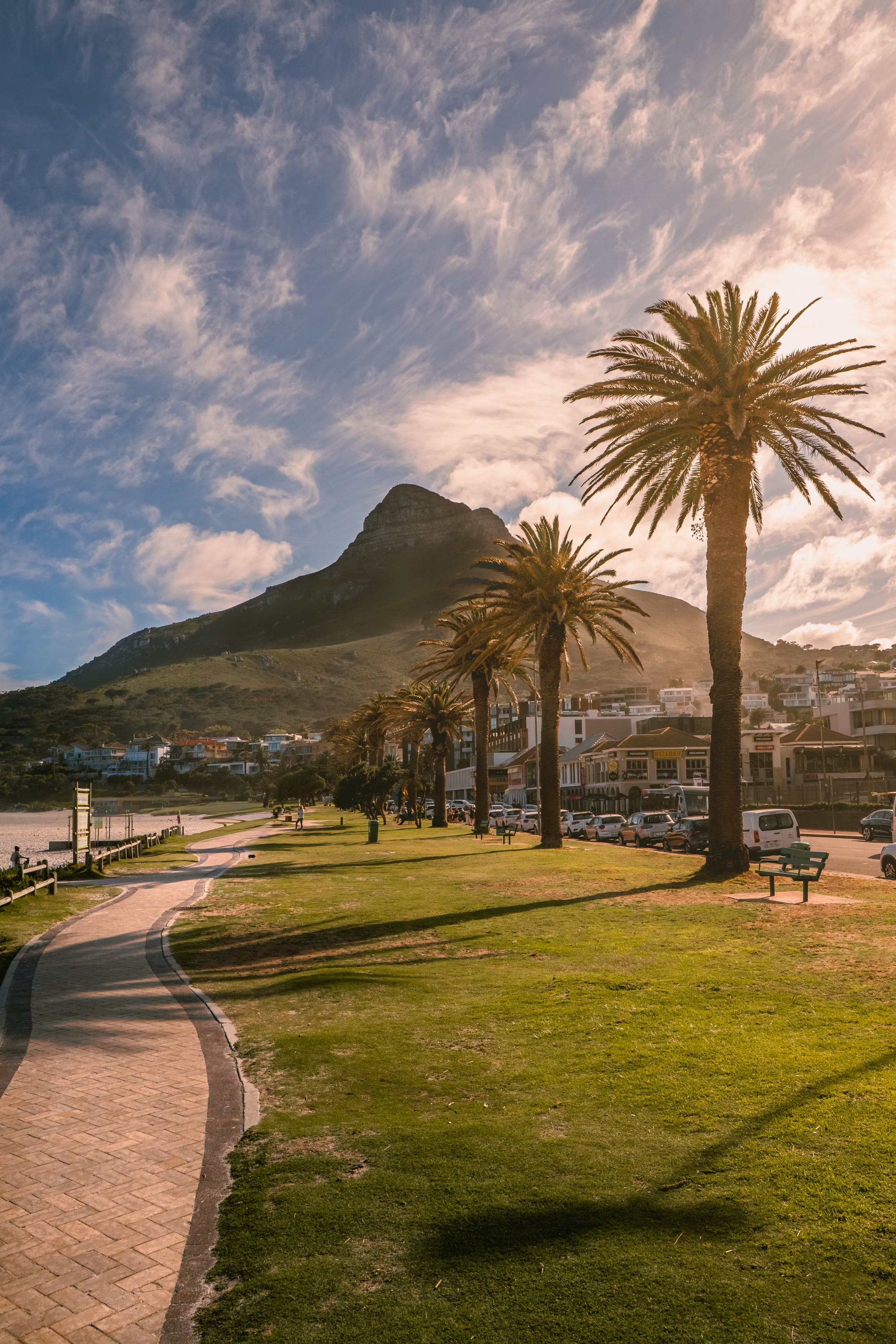 Sea Point promenade with palm trees and Lion's Head in the background