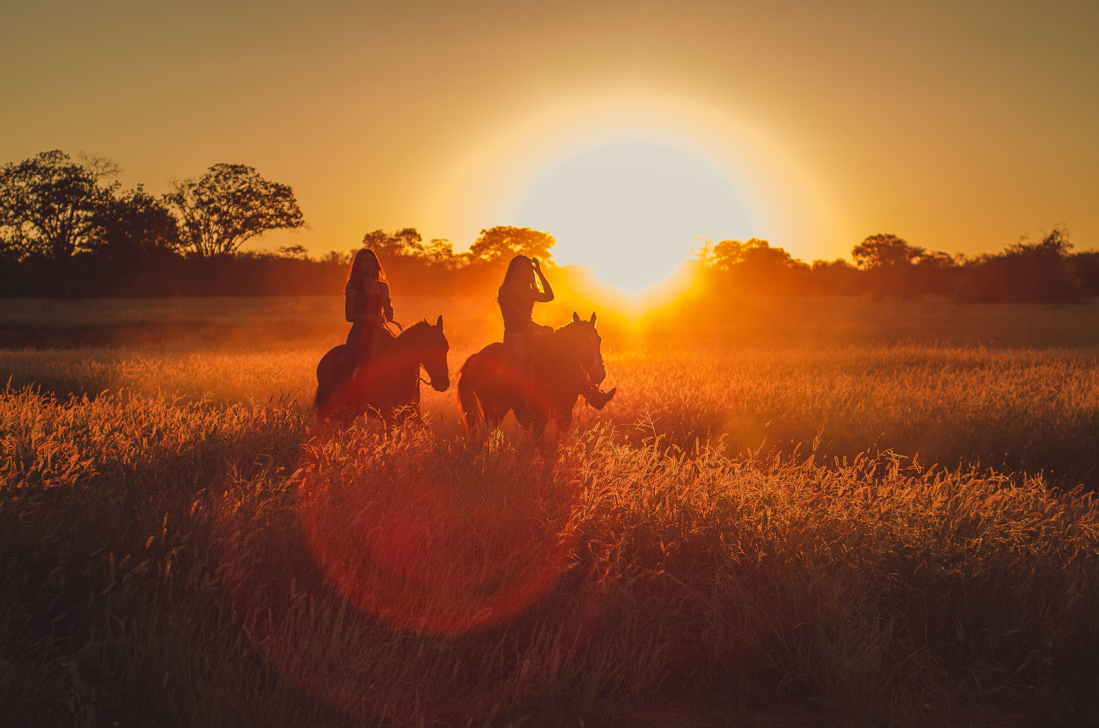 Riders on horseback silhouetted against the setting sun