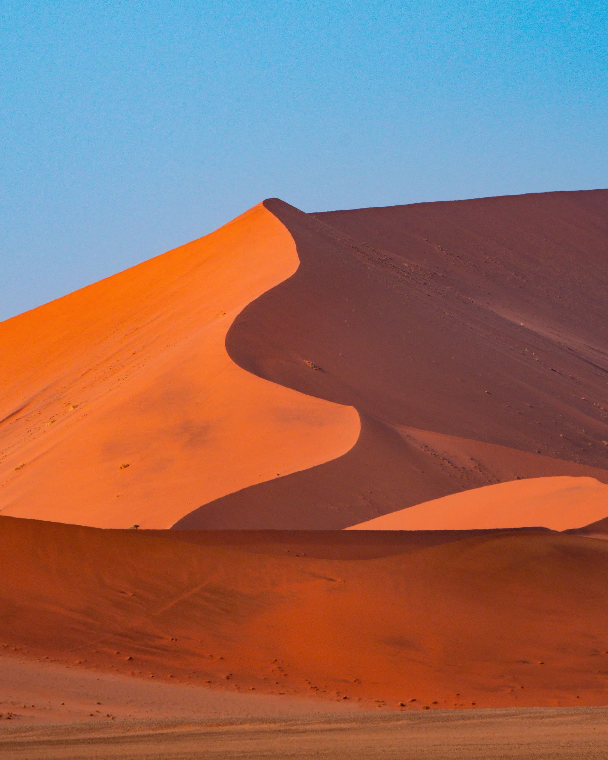 A towering red sand dune in Sossusvlei